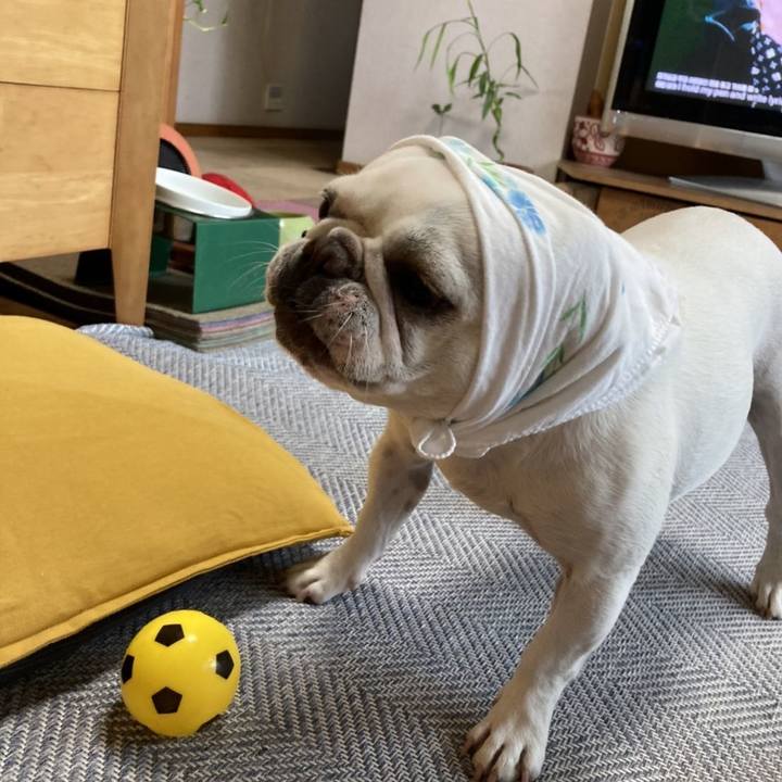 8703bacb e4b1 458a a870 bc462a96de99 1665650413892