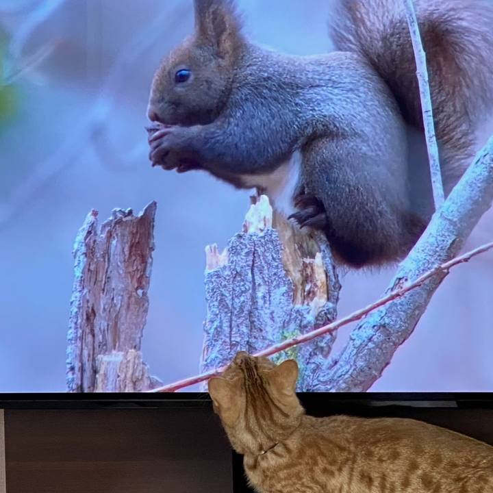 8703bb21 f838 4a64 9198 fcdbbaaa863d 1673845639310