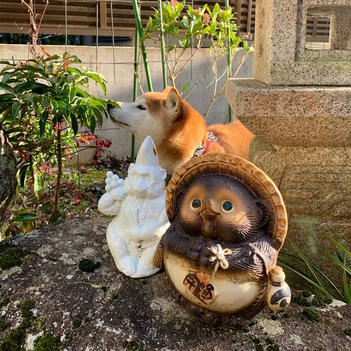 8703cee3 97d8 42a8 ad23 60f2b5ecb1c0 1648548985783