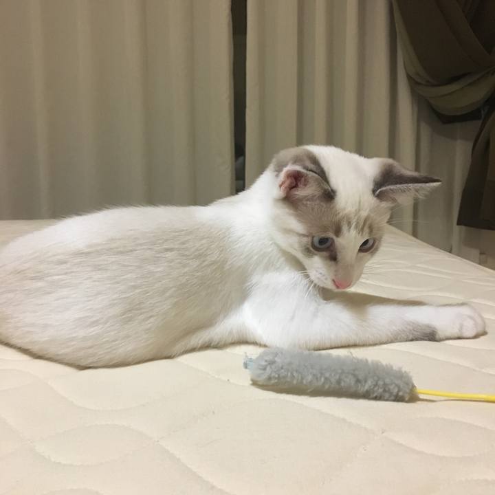 8703dc22 b702 4040 ac49 6f74924116e9 1511024671678