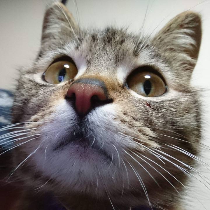 8703f345 f721 4888 af09 838d13892b93 1642813664175