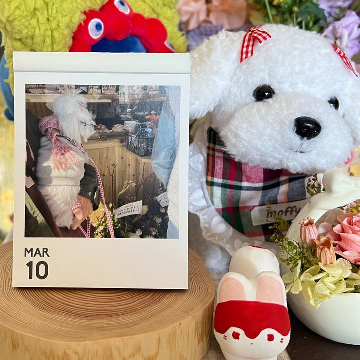 8703f39e 3071 423a a9e8 fa84bb31dd08 1773276305742