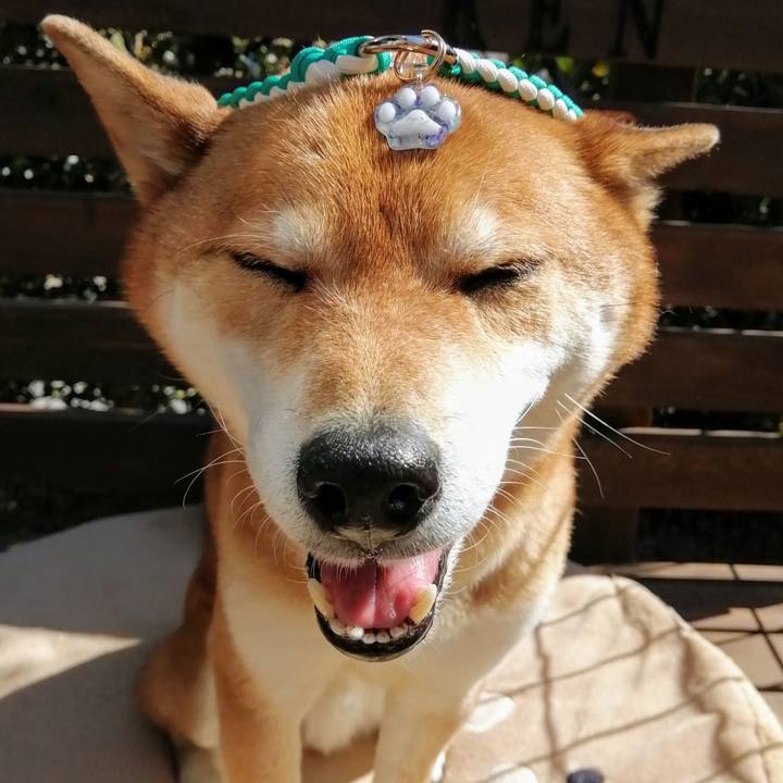 8704149f cbb1 415c 8c4b 2318d0acc6de 1613884167917