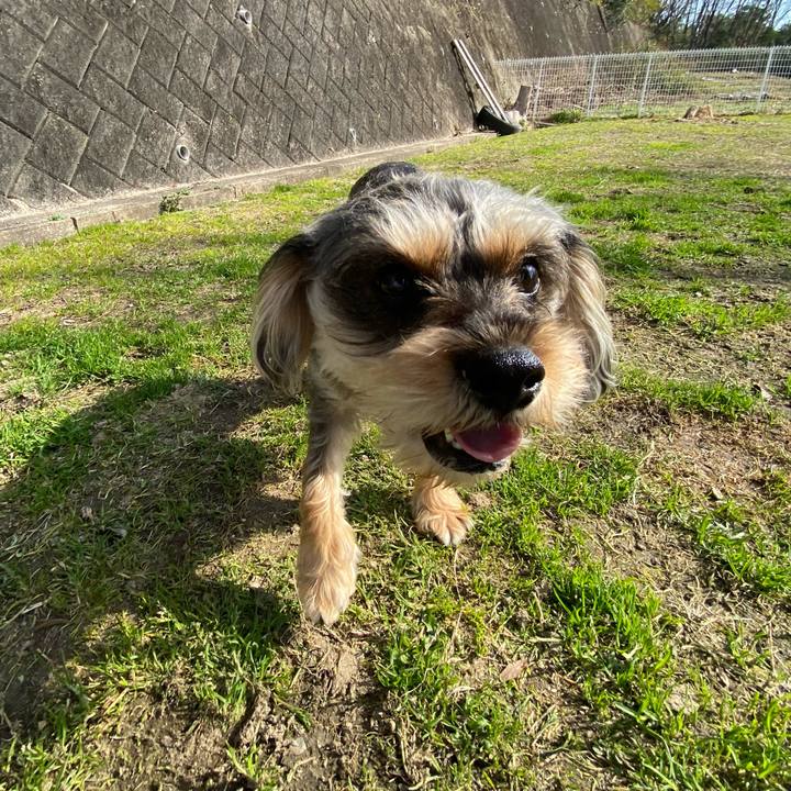 87043c8e 8993 4829 9a86 178bf8534c9c 1580616183619