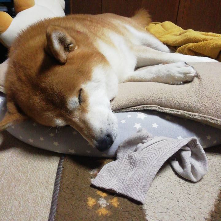 87046670 1f13 490c 8f3f d882d5923435 1634739930095