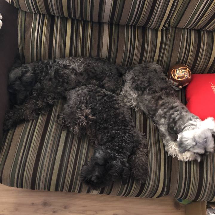 87048a60 adcb 44b3 88ff d6c08ed3c9e4 1577079183338