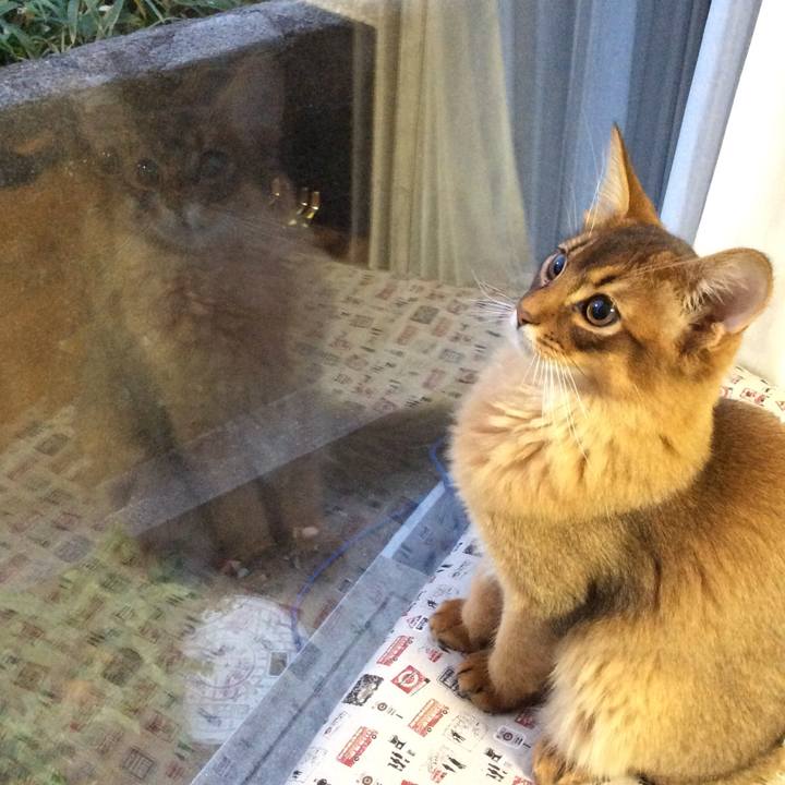 8704c5e8 9f16 40e5 947c 6d07e8acfa4a 1575669063305