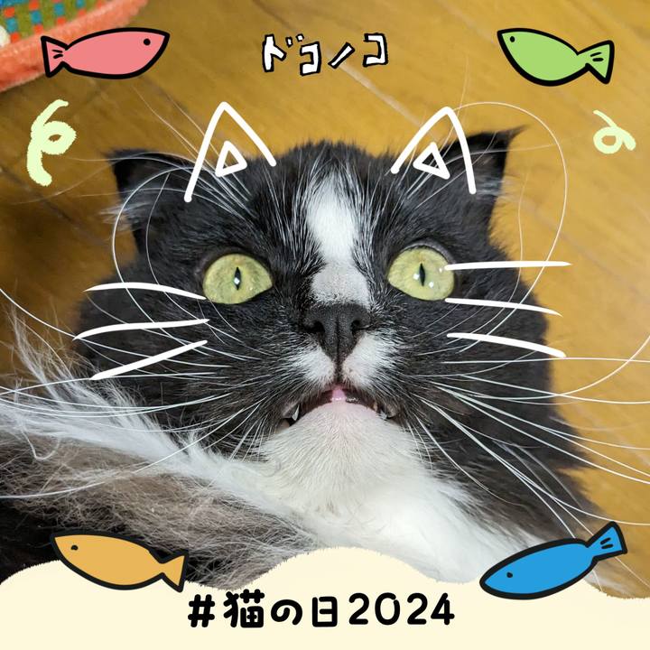 8704e3af df74 4f46 9d27 ada9daa7ac5f 1708556736268