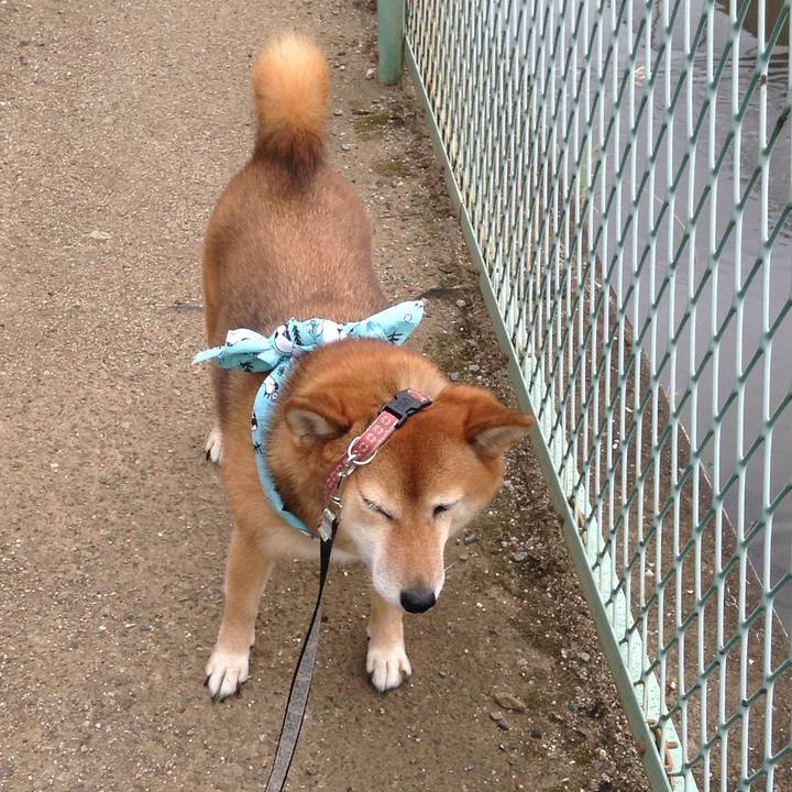 870502e3 8261 4af1 ba15 b8ea937aa0d9 1532572154252