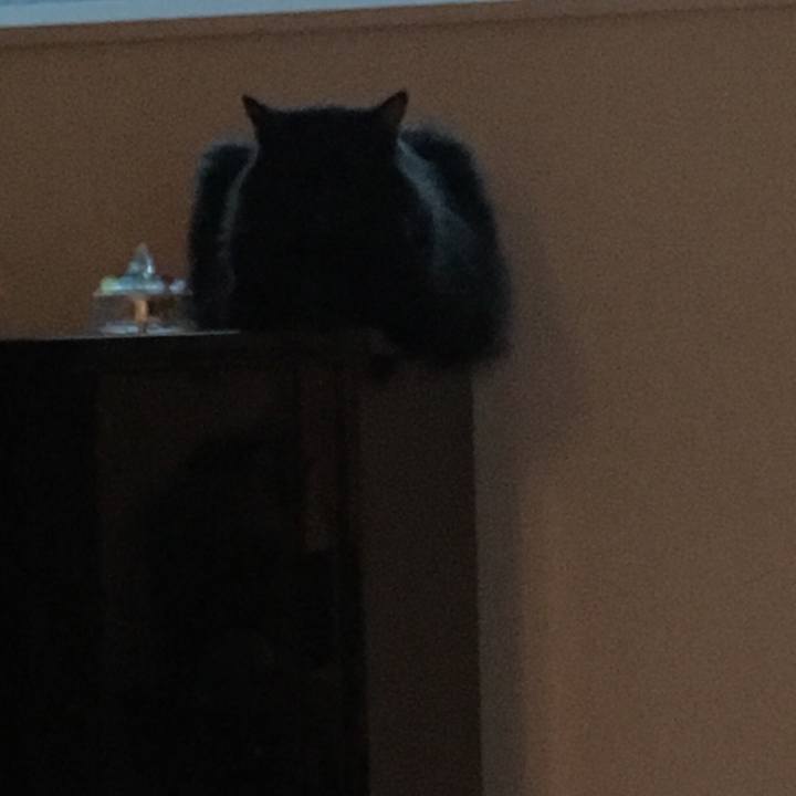 87051a0d d5e8 4593 8d89 f76bec3db8f9 1561891258851