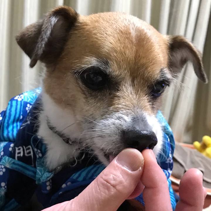 87053af0 c0c6 45a1 bbb5 47eb2cfa81e2 1549885531817