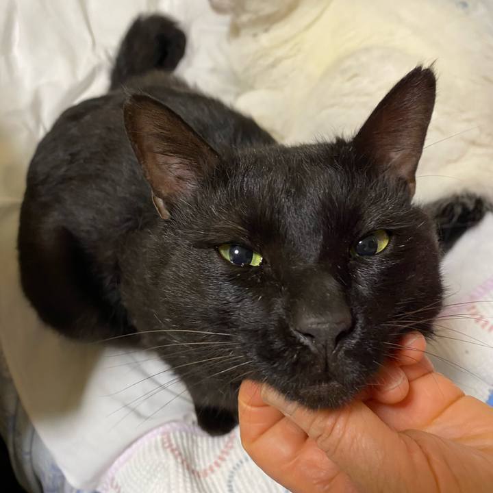 87056660 c97a 499a b580 afbe9c17b5ac 1654079255024