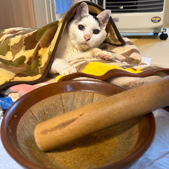 8705866b 1f2e 4dd7 b658 c252e06e61a4 1768874156081