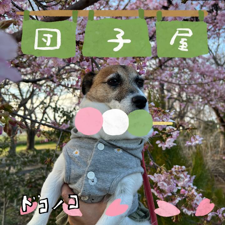 8705d3f6 73d8 4346 b054 6ec7b50c2d59 1712230596509