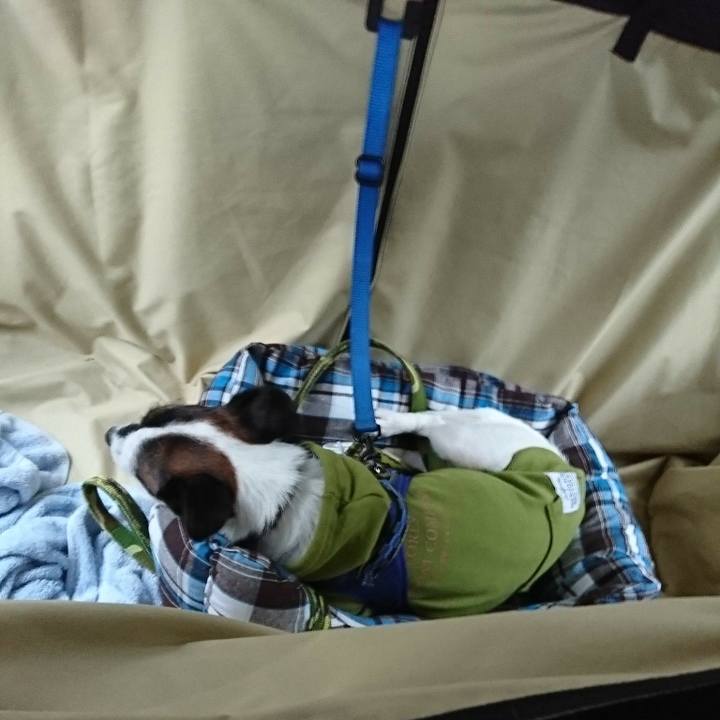 8705f641 309e 47a2 970d c59db017335c 1507967694581