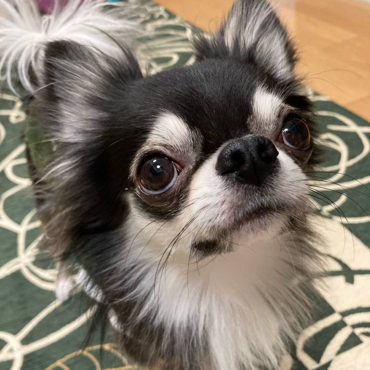 87061b04 fa34 4337 b458 99d655bfb7b0 1638021900381