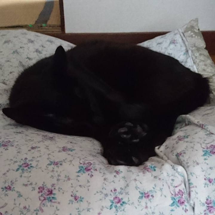 87063603 0c67 4cd2 90f2 a527c88168a5 1525237610136