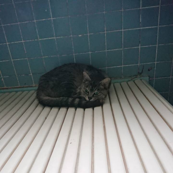 87069bdb a98e 43b2 bd8d 60aa2b16a638 1588537493236