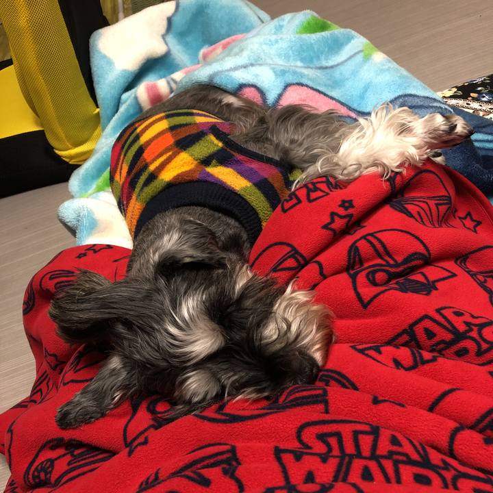 87069d24 f8a8 49f4 9c01 6fdb0f7e2e39 1574424687911