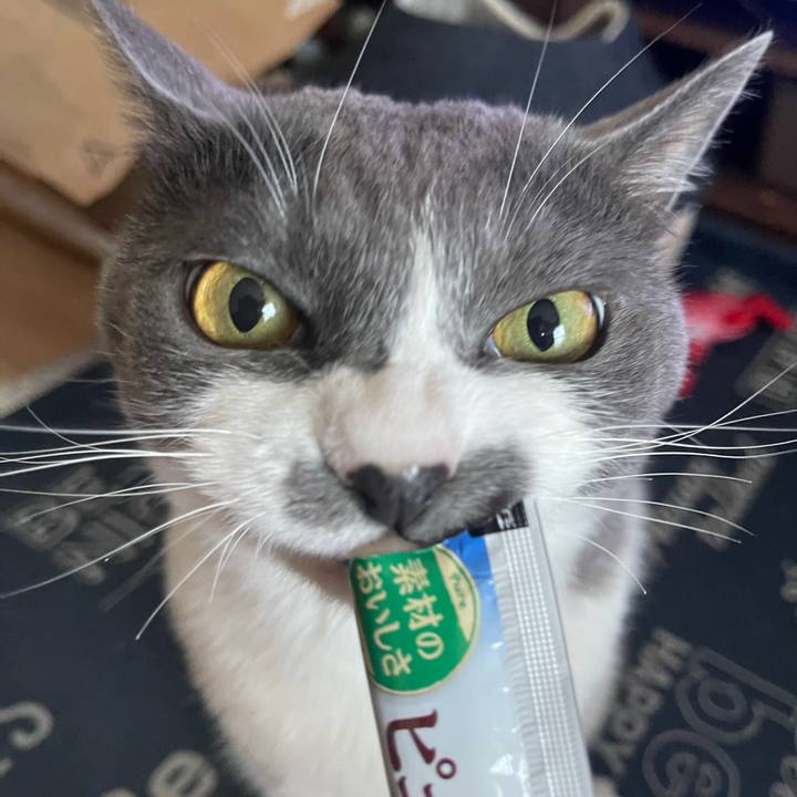 8706aad5 b637 4695 aeed 46c9934a16fc 1718955552880