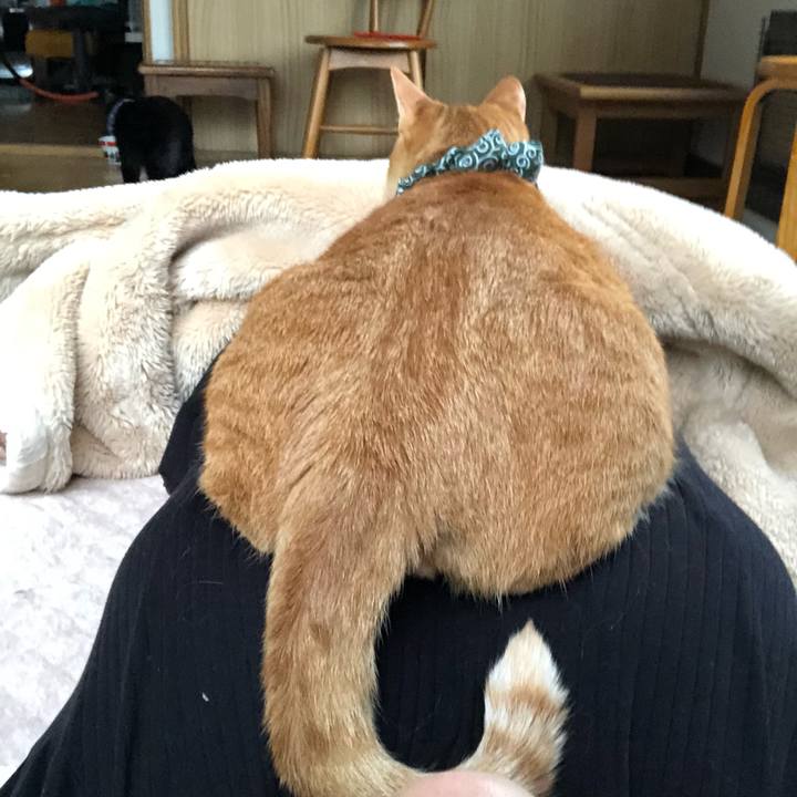 8706b92f 7ad7 4c79 a57a 2ca70abe7a5e 1560112356433