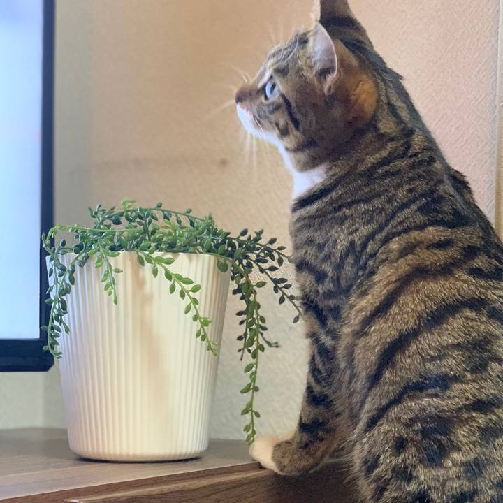 8706c43b 4399 46f4 aea2 73a751b9b16d 1546960139177