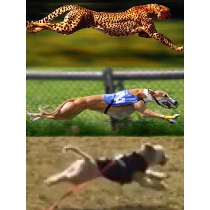 8706dfd2 f76c 48b5 9630 bca445601c60 1558869304557