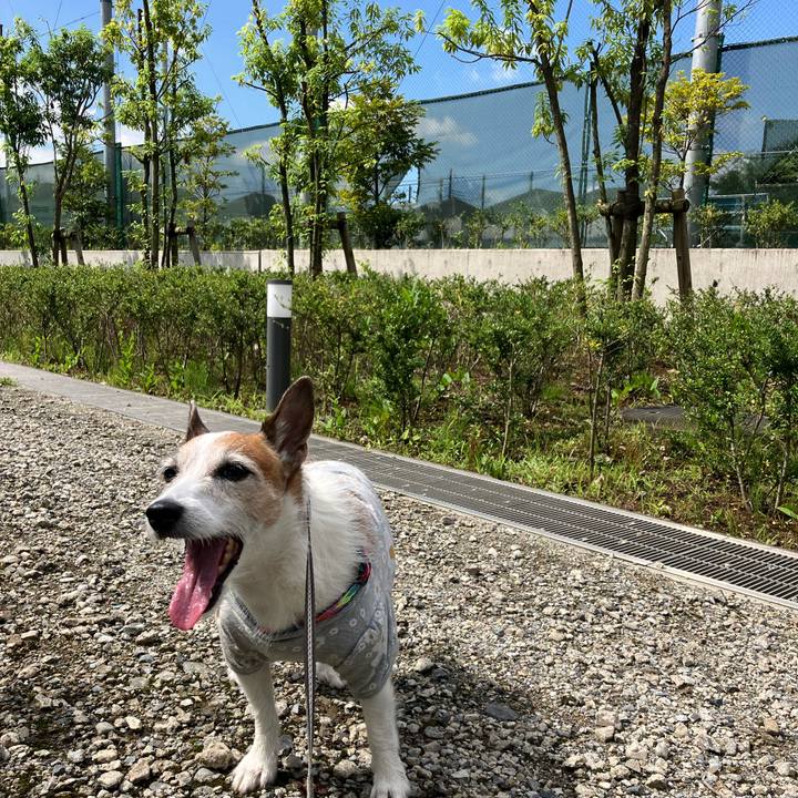 8707130a 495c 4641 a7ee d3c5920fb964 1686873249631