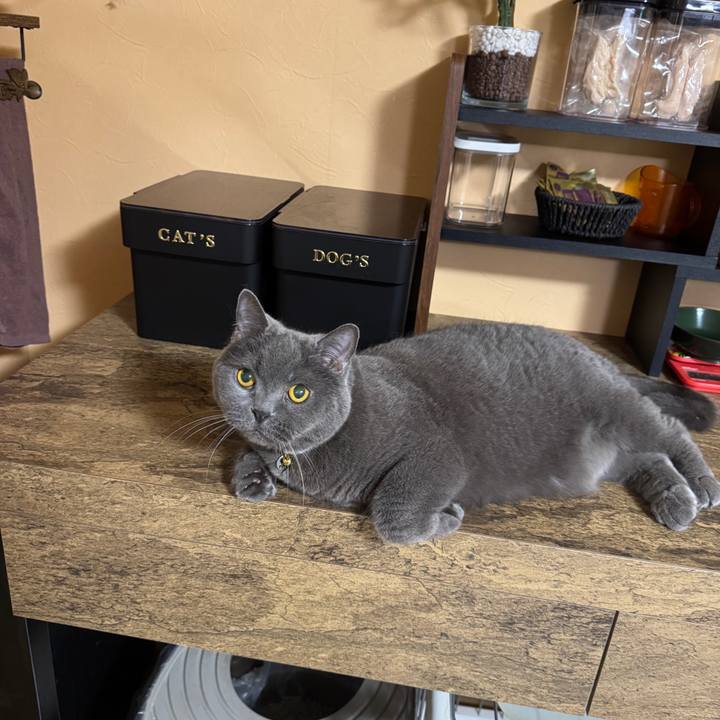 87071d17 a8ef 4019 a0f0 e084c238a728 1773475888792