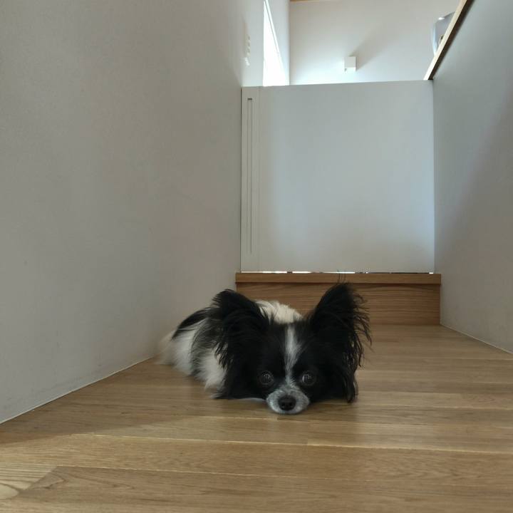 87073106 13ac 48e8 a890 e70ac010e79b 1509947274761