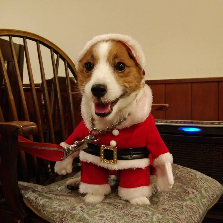 8707326a 40f9 4a37 997a 48480da93dae 1544361691612