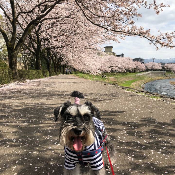 8707379c c8aa 457c 91b9 7d023ff47495 1617531140529