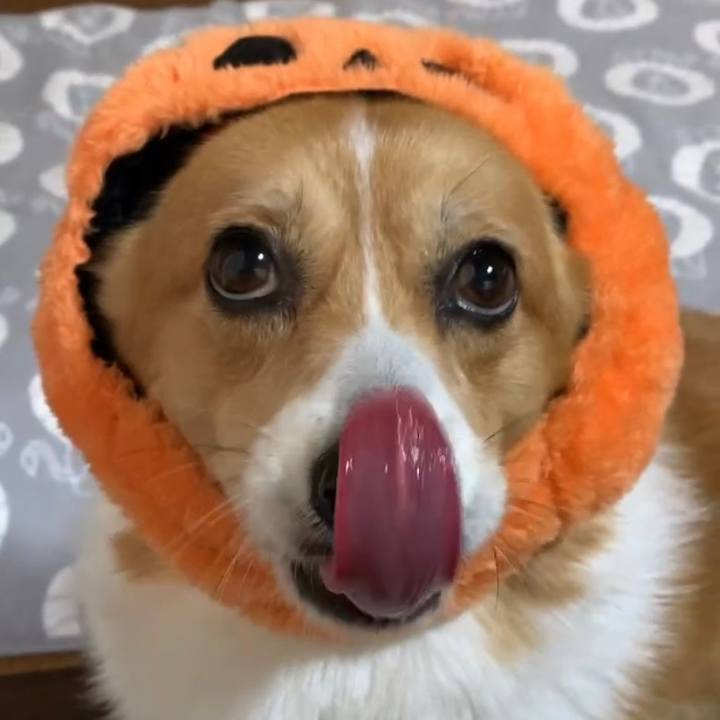 870837f9 4f99 4b12 984a a2b9ae8b8cfb 1635664764109