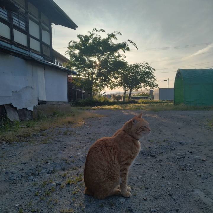 870849f9 c6e8 4cea a4e9 bd5e9cd2ab48 1684963327563