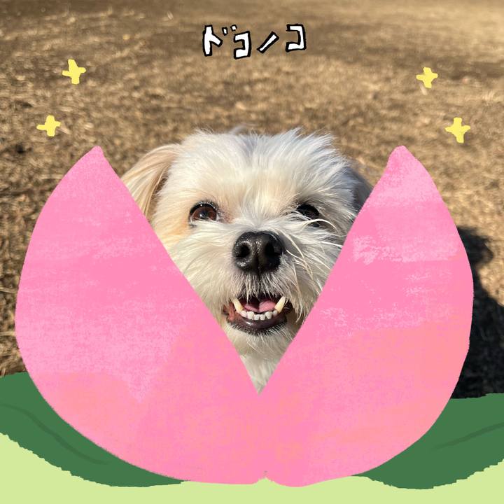 87087d21 af66 4274 9c0b aeeb004f88aa 1771837906556