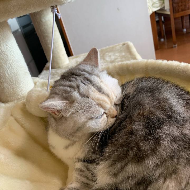 8708b109 6964 4bf9 8659 826f91ce191d 1717206330670