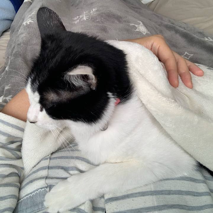 8708ddd0 ef04 4511 bece 1972e00fe1fc 1728165079300