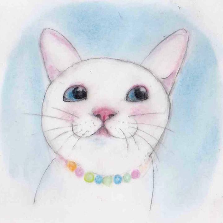 8708dede 8d4d 490a bc77 4b7f8138ef22 1631023059445