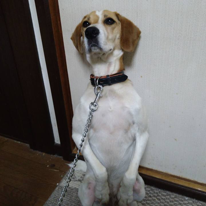 8708e751 ba7a 4b4b b8ec e9a0b2d7a557 1625470705688