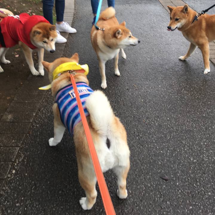 8708f165 0403 4d2c 8d7d 8db494009003 1560079701874