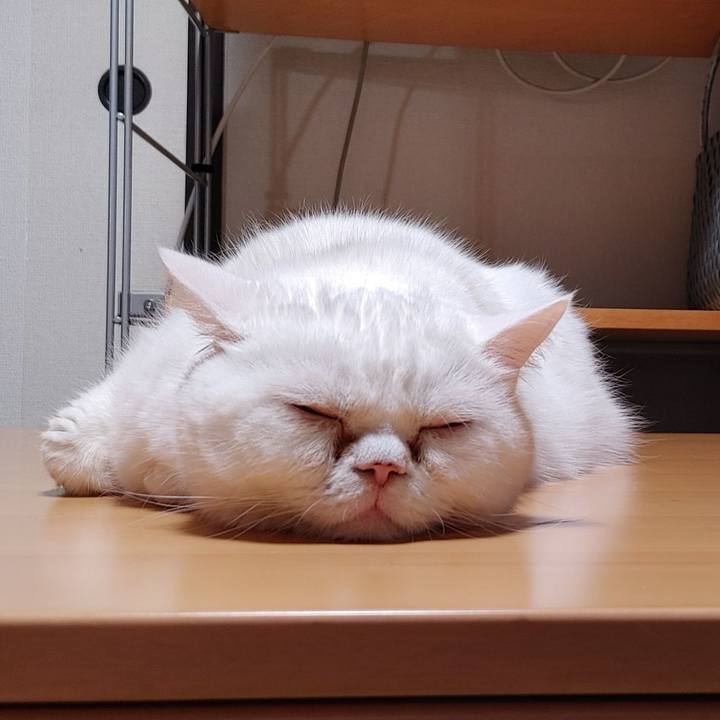 87091246 1d59 4547 a03d b710d56d4397 1648559778100