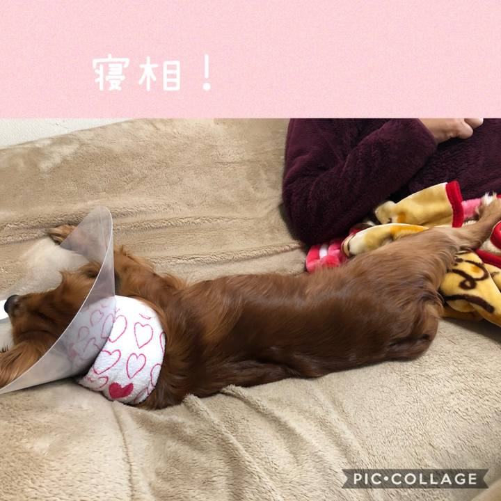 870927bf c85b 4b80 8182 e1ad44271bd9 1582237732064