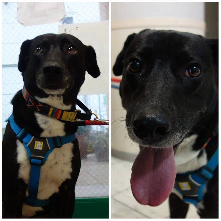 8709342a d001 4260 bb6b d9864828da12 1618569223148