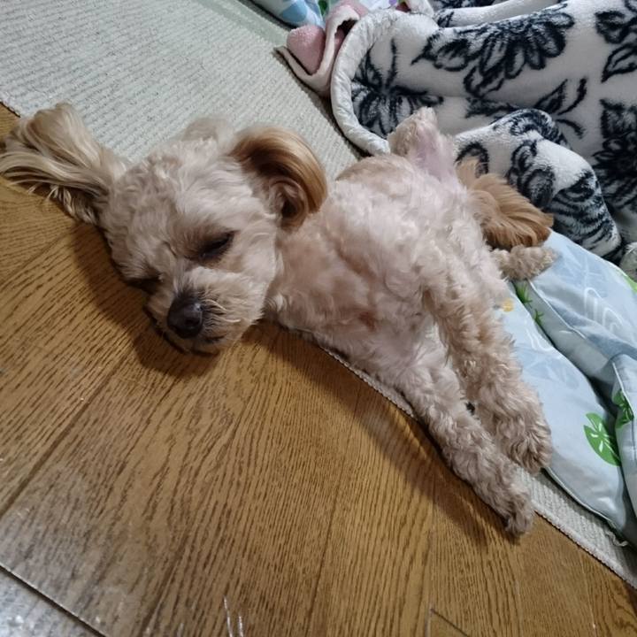 87097ea3 fee4 46f9 aabf 1957083029bb 1555852693965