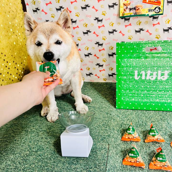 8709ace8 52e9 48a0 bff3 ccb5cf7282ff 1751685334157