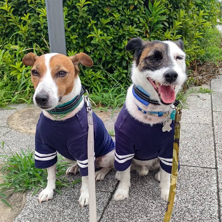 870a18dd c2af 4712 905c 675df03f56c0 1688513882300