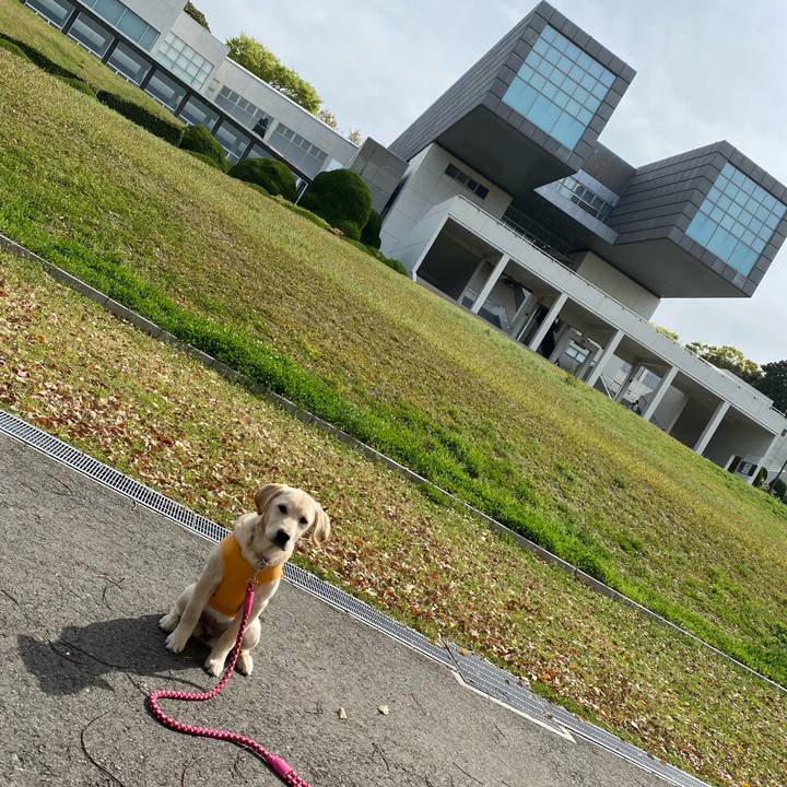 870a3732 06e9 44c0 a894 50645b116991 1617258622062