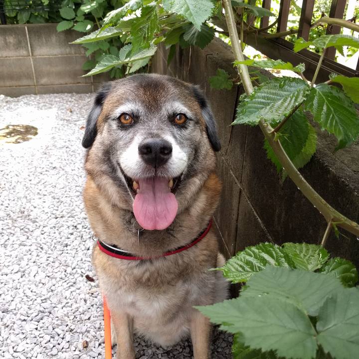 870a4117 1140 4b8f 9be7 e2a13747e16d 1731458162156