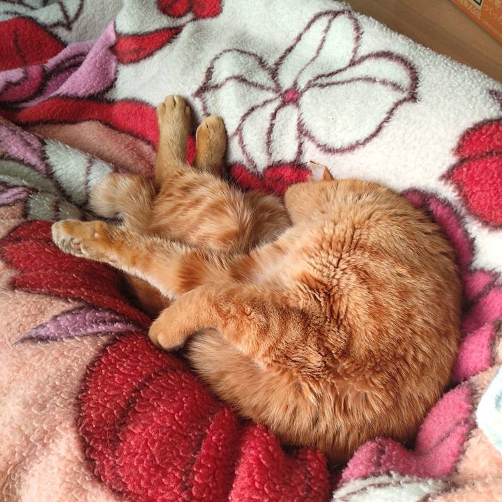 870a688a 22f1 4a20 9bec a2d44ebe7fd0 1670842005769