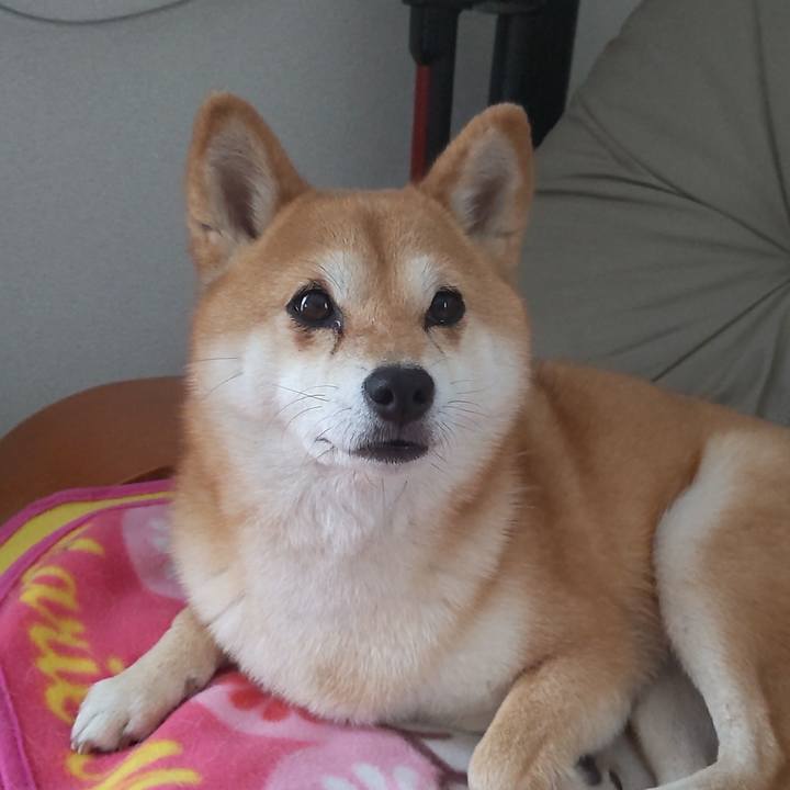 870a93b8 c412 4079 a329 e7d85055e6ed 1745889861846